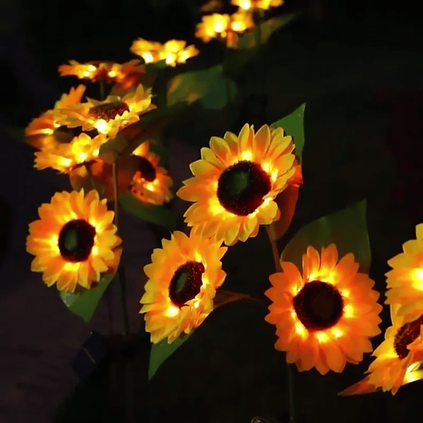 1 + 1 GRATIS HEUTE  SolarBloom™