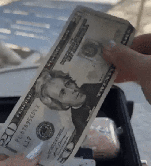 50% OFF TEMPORÄR  PortaVault™