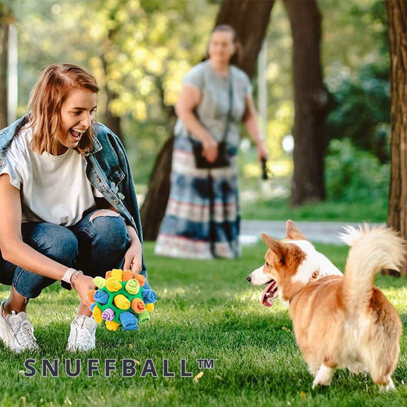 SnuffBall™ - Puzzlespielzeug für Hunde zum Schnüffeln - ByCheri