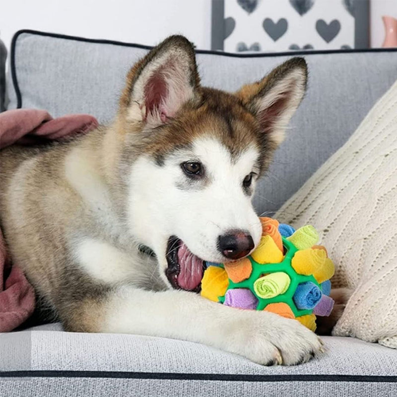 SnuffBall™ - Puzzlespielzeug für Hunde zum Schnüffeln - ByCheri