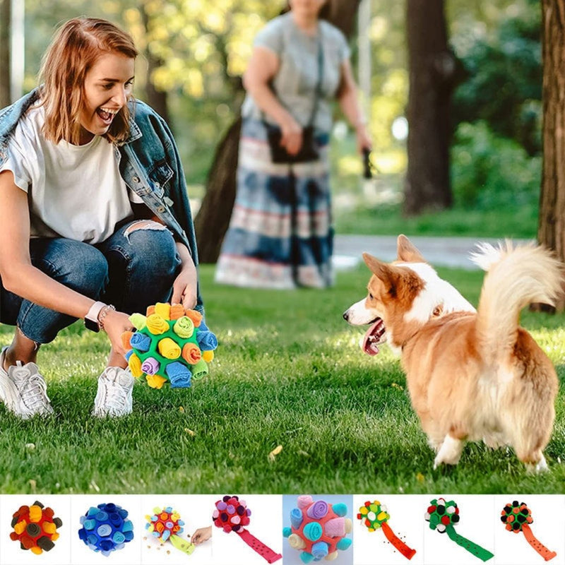 SnuffBall™ - Puzzlespielzeug für Hunde zum Schnüffeln - ByCheri