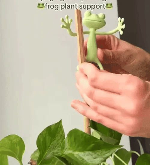 1 + 1 GRATIS HEUTE  SproutFrog™