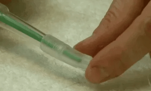 1 + 1 GRATIS HEUTE  PawPiller™