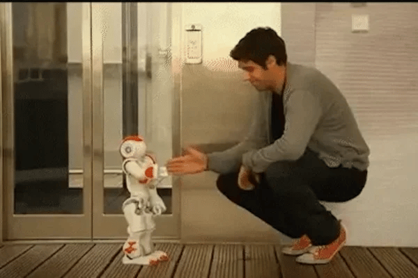 50% OFF TEMPORÄR  RoboBuddy™