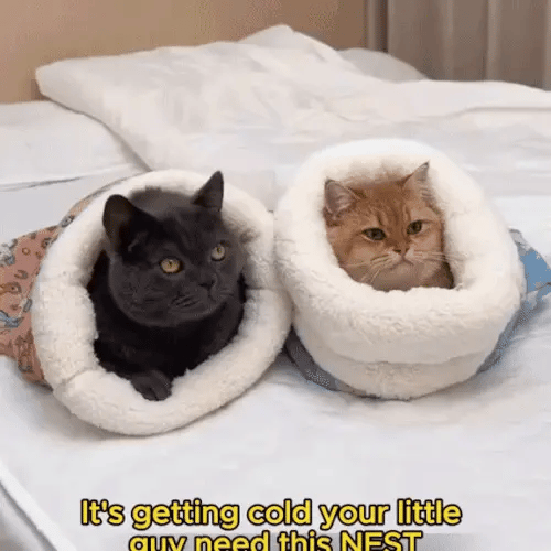 1 + 1 GRATIS HEUTE  PurrSack™
