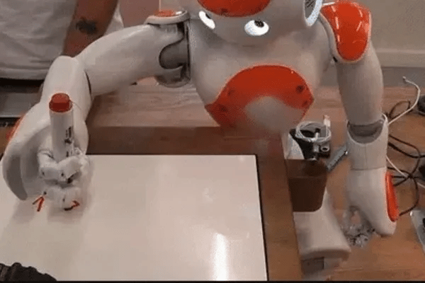 50% OFF TEMPORÄR  RoboBuddy™