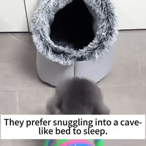 50% OFF TEMPORÄR  SnugPod™