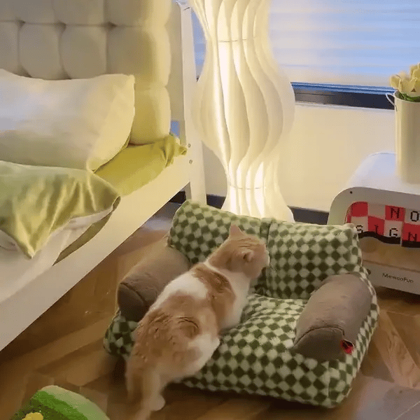 50% OFF TEMPORÄR  CozyLounge™