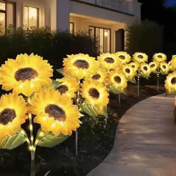 1 + 1 GRATIS HEUTE  SolarBloom™