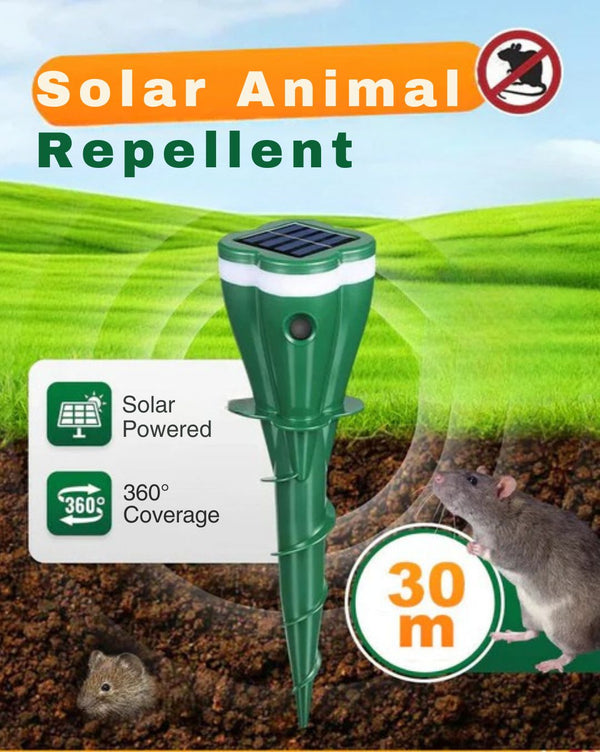 1 + 1 GRATIS HEUTE | SolarGuard™