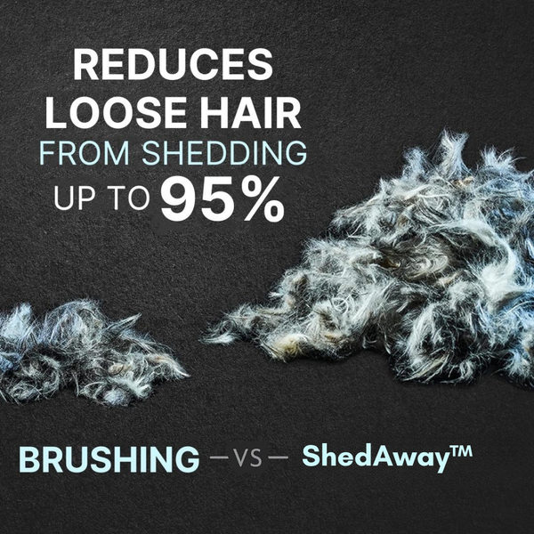 50% OFF TEMPORÄR | ShedAway™