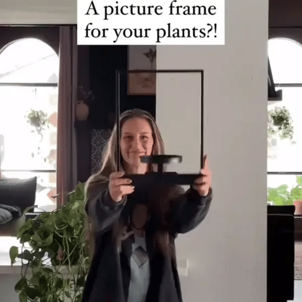 50% OFF TEMPORÄR  FloraView™ 