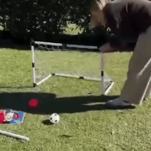 50% OFF TEMPORÄR  HoopKick™ 