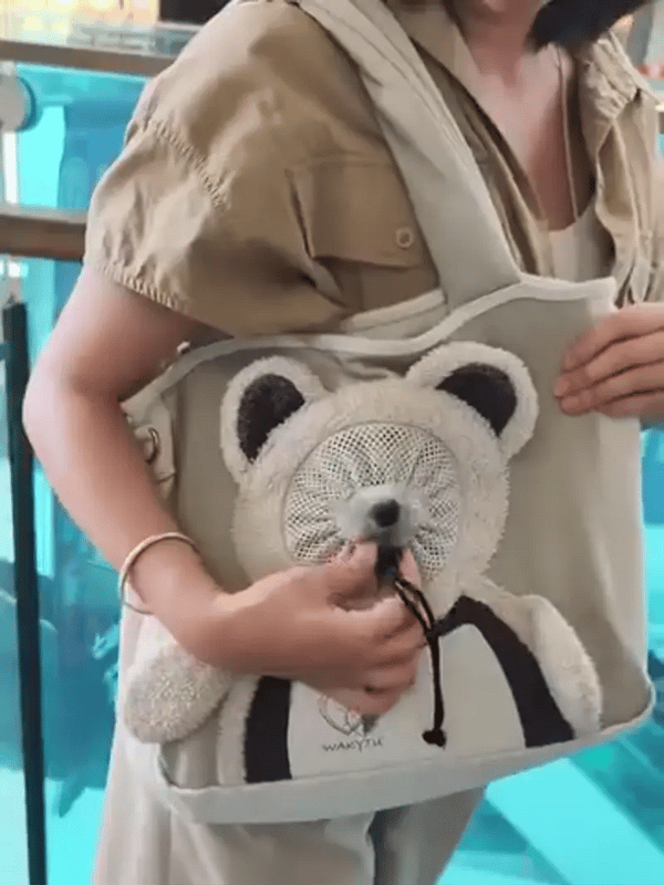 50% OFF TEMPORÄR  PawVenturer™