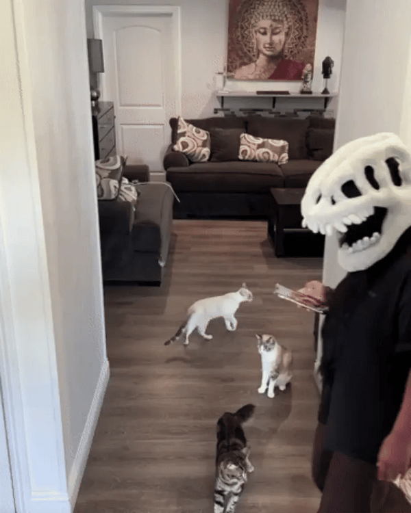 50% OFF TEMPORÄR  DinoRoar™