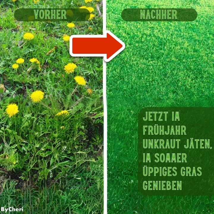 WeedBuster™ | Besiegen Sie Gartenarbeit effektiv! | 50% OFF TEMPORARY