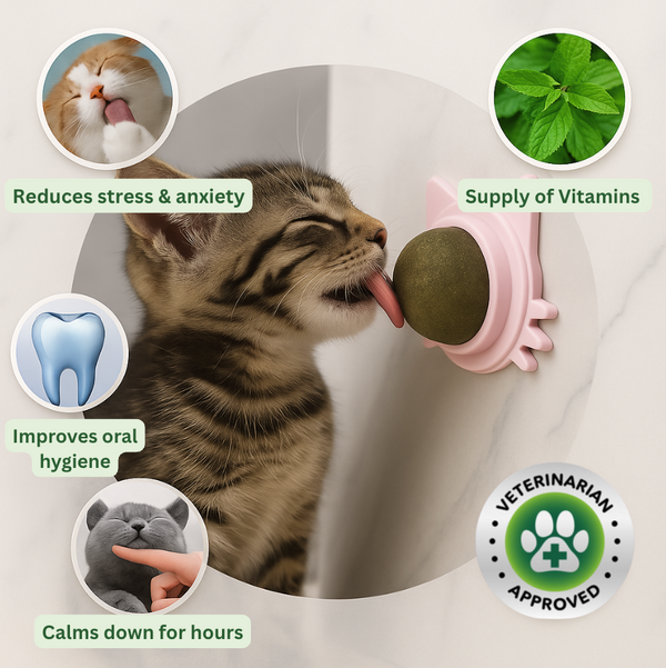 1 + 1 GRATIS HEUTE  Calmew™