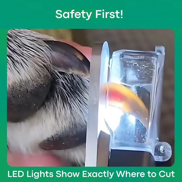 50% OFF TEMPORÄR  PawProtec™