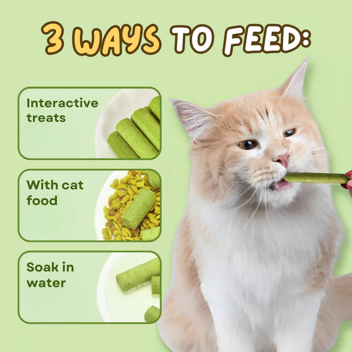 1+1 GRATIS HEUTE | WhiskerWonder™ | Katzengras-Sticks für eine gesündere, glücklichere Katze!