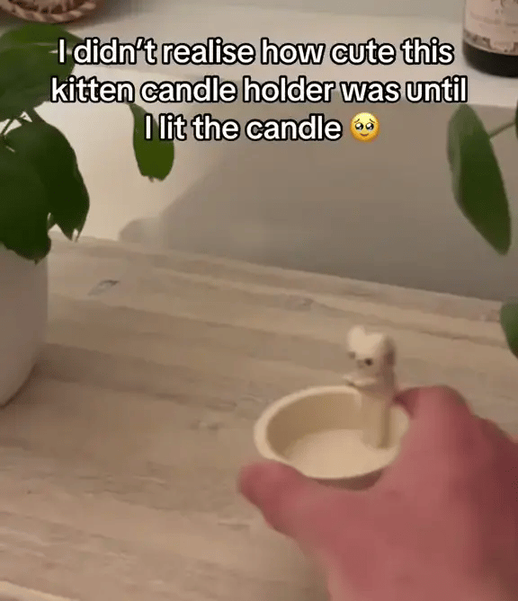 1 + 1 GRATIS HEUTE  FelineFlame™ 
