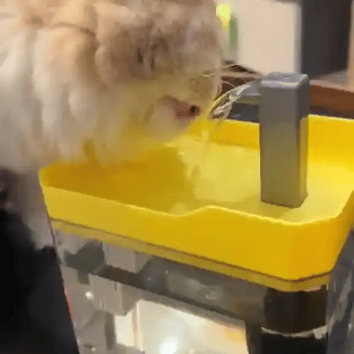 50% OFF TEMPORÄR  HydroPurr™