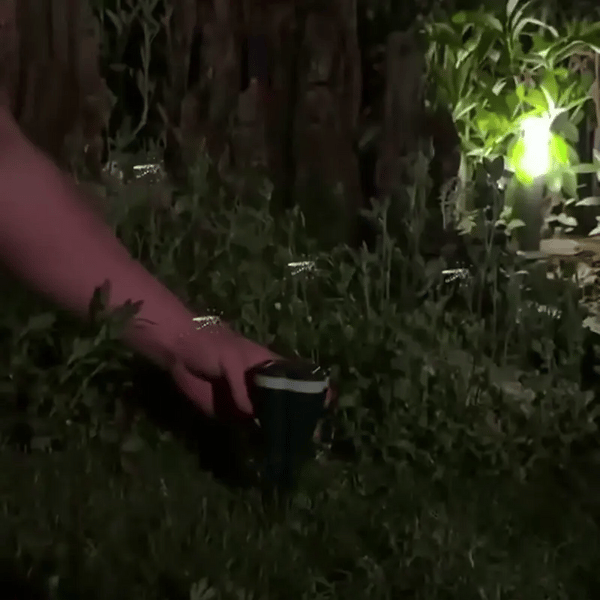 1 + 1 GRATIS HEUTE  SolarGuard™