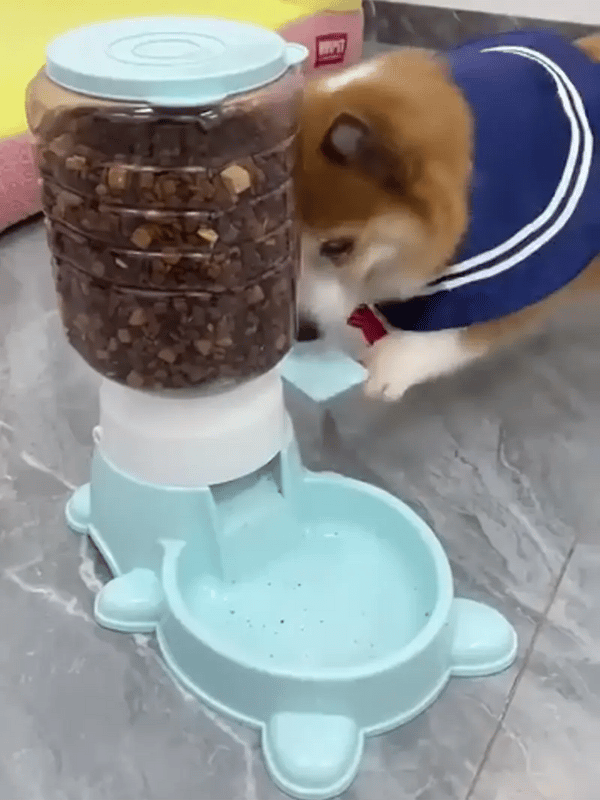 50% OFF TEMPORÄR  PawSmart™