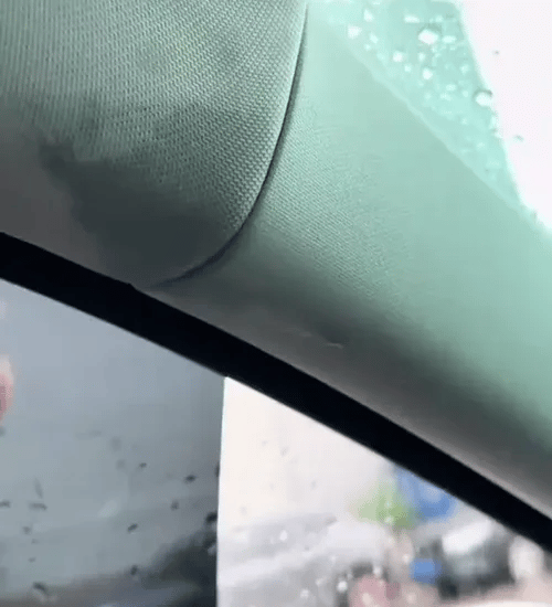 1 + 1 GRATIS HEUTE  SealEdge™ 