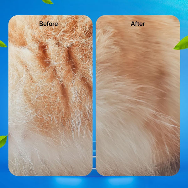 1 + 1 GRATIS HEUTE | PawFresh™