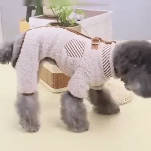 50% OFF TEMPORÄR  SnugPaw™