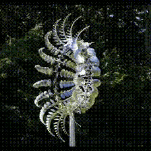 50% OFF TEMPORÄR  WindFleur™