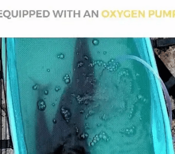 50% OFF TEMPORÄR  CatchKeeper™