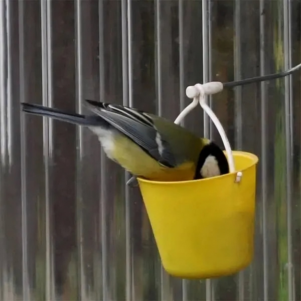 50% OFF TEMPORÄR  TweetTreat™