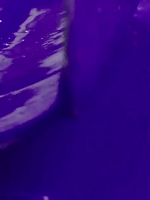 1 + 1 GRATIS HEUTE  VioLustre™