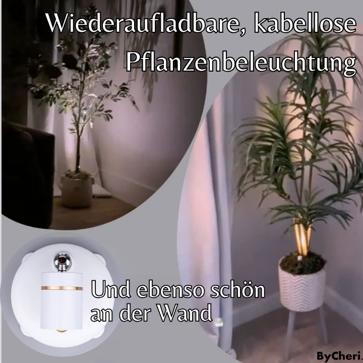 SpotPerfect™ | Verwandeln Sie Ihr Zuhause in einen luxuriösen Zufluchtsort!