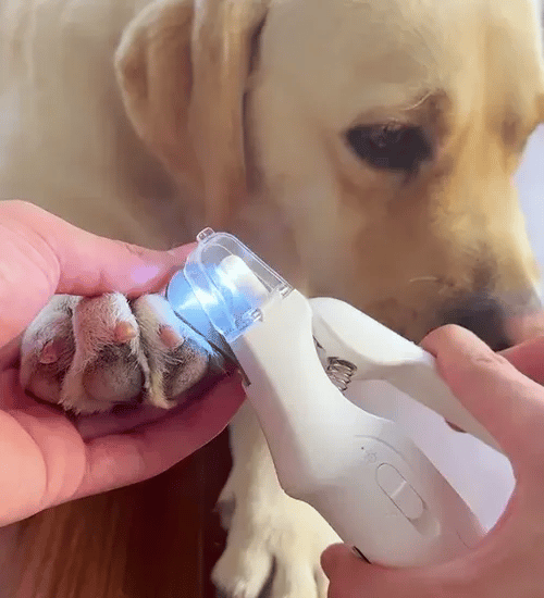 50% OFF TEMPORÄR  PawProtec™