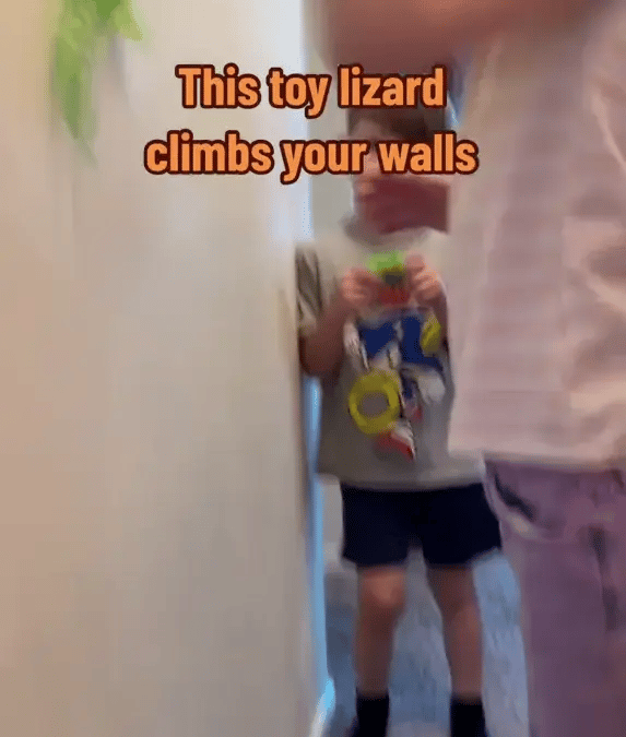 50% OFF TEMPORÄR  CrawliesBot™