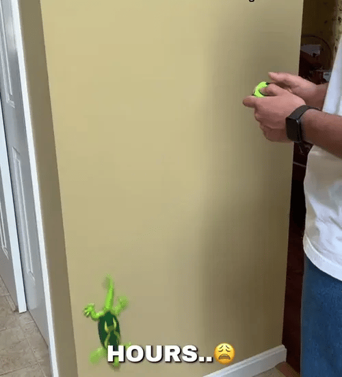 50% OFF TEMPORÄR  CrawliesBot™