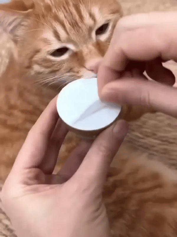 1 + 1 GRATIS HEUTE  Calmew™