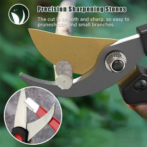 1 + 2 GRATIS HEUTE  EdgeForge™