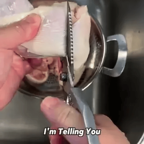 1 + 1 GRATIS HEUTE  ChefSnap™