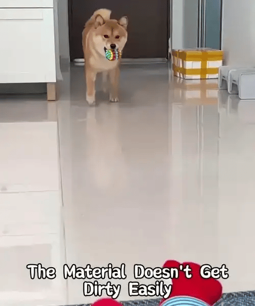 1 + 1 GRATIS HEUTE  ChewSpike™