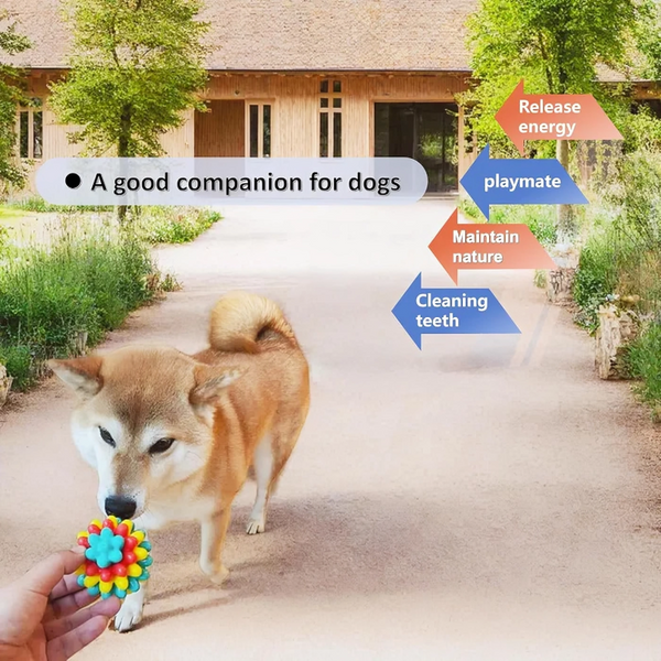 1 + 1 GRATIS HEUTE | ChewSpike™