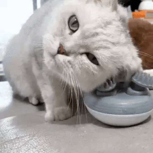50% OFF TEMPORÄR  PawZen™