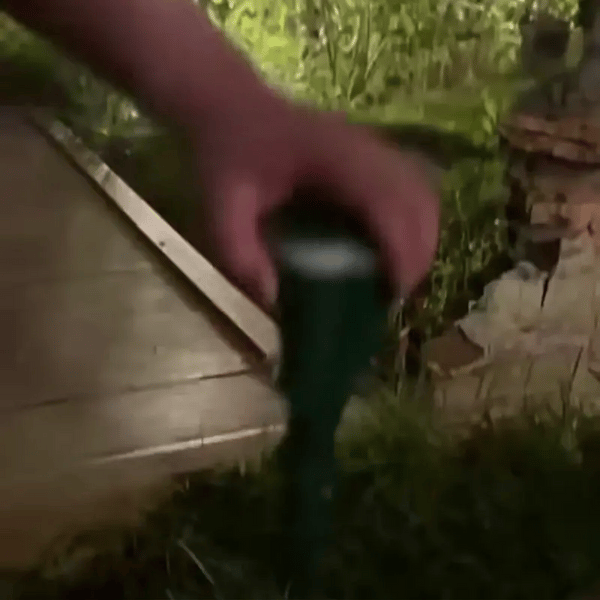 1 + 1 GRATIS HEUTE  SolarGuard™