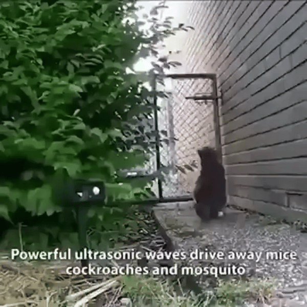 50% OFF TEMPORÄR  SolGuard™