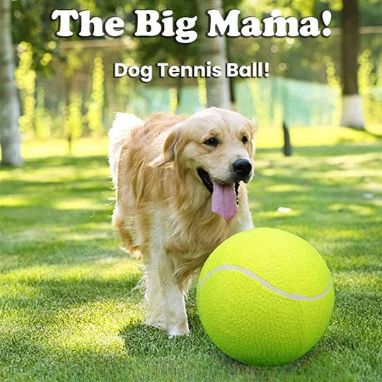 50% OFF TEMPORÄR | MegaFetch™