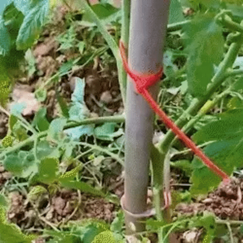 50% OFF TEMPORÄR  FlexiTie™