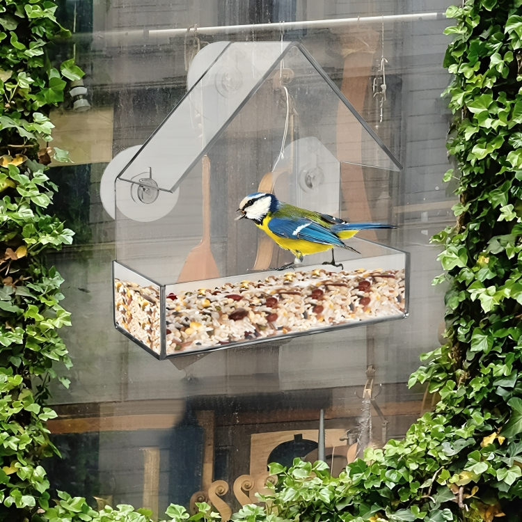 50% RABATT TEMPORÄR | PerchView™ | Verwandeln Sie Ihr Fenster in ein persönliches Vogelschutzgebiet!