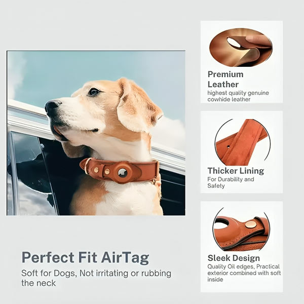 TrackTails™ | Leder-Hundehalsband mit AirTag-Tasche